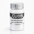 Mobilização da Gordura